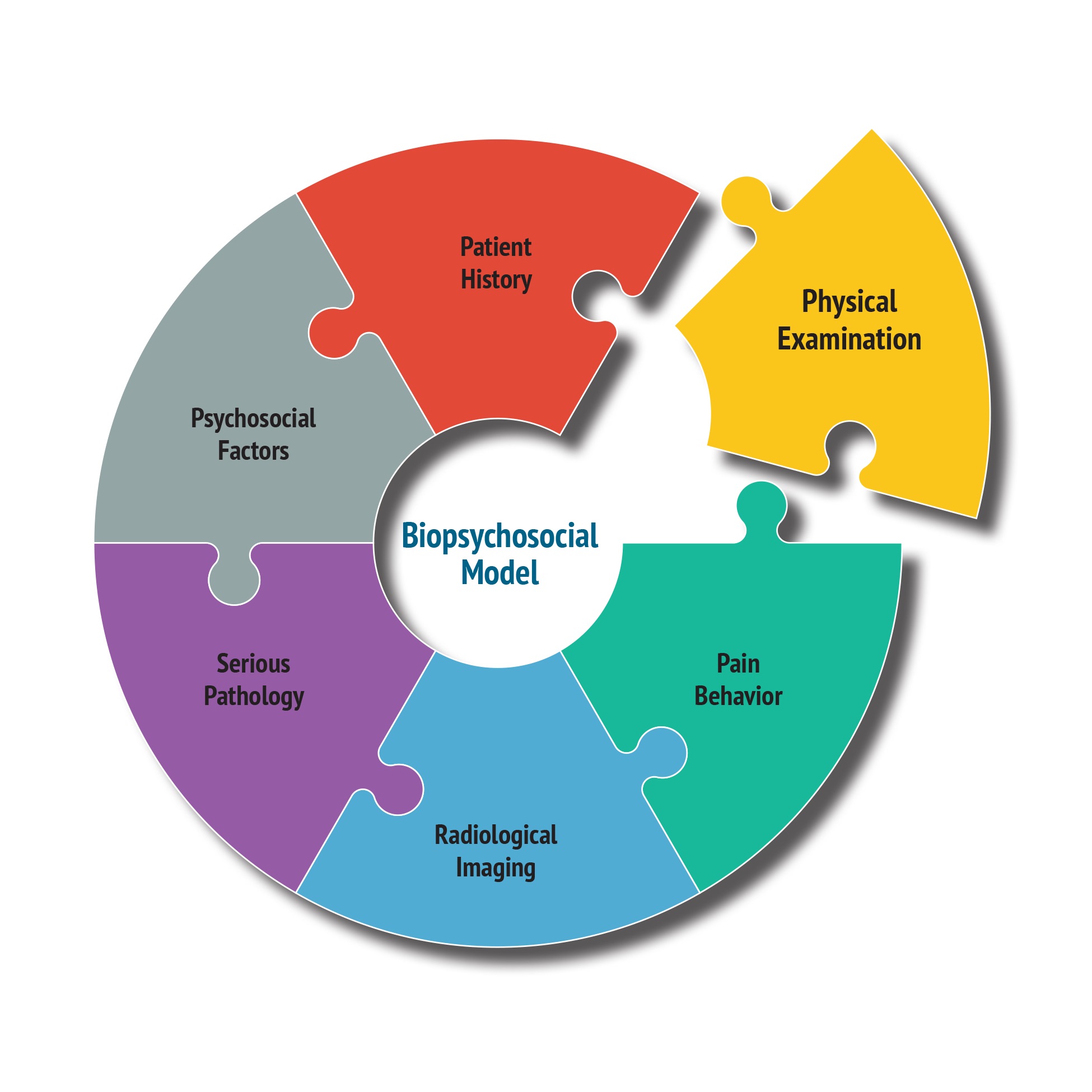 Biopsychosocial Model