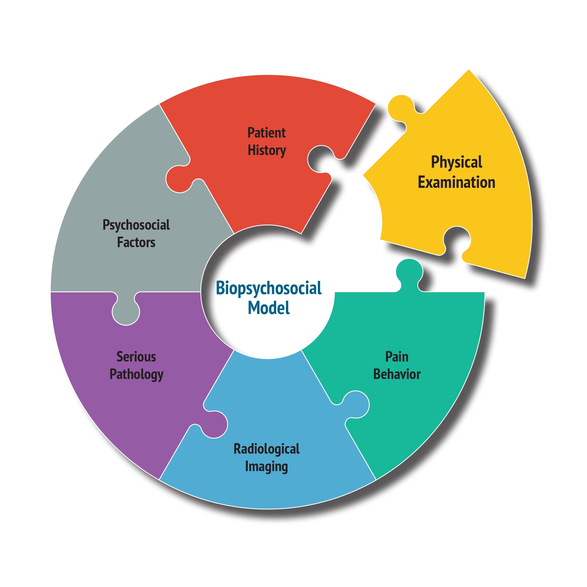 biopsychosocial model