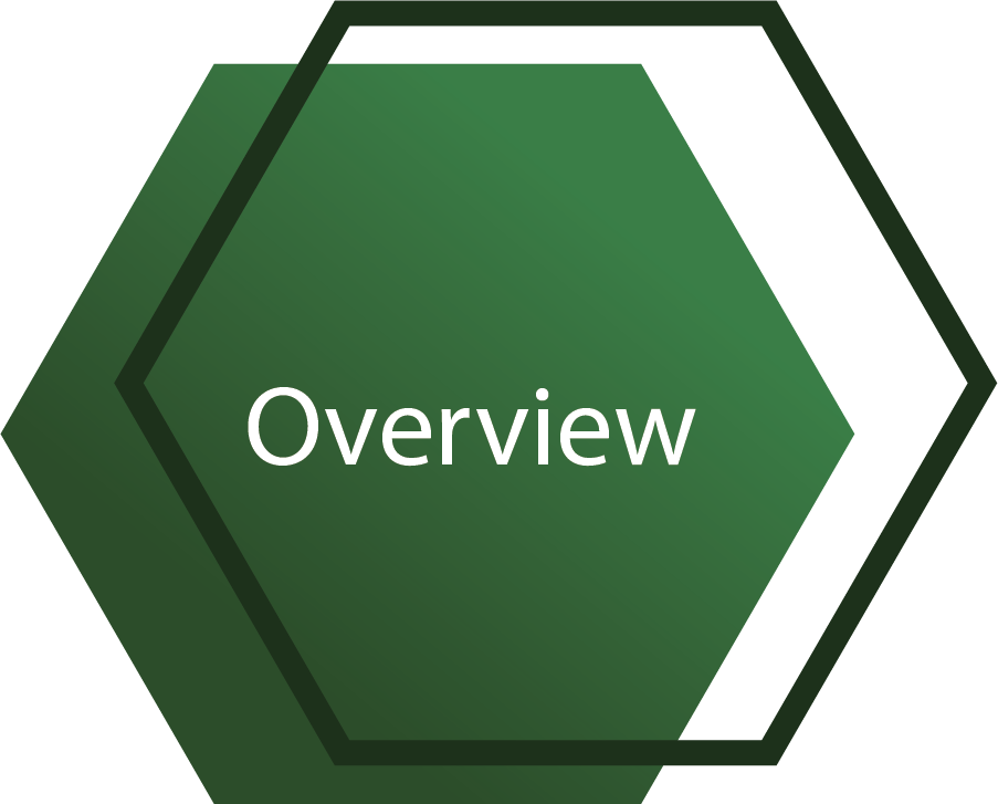 overview