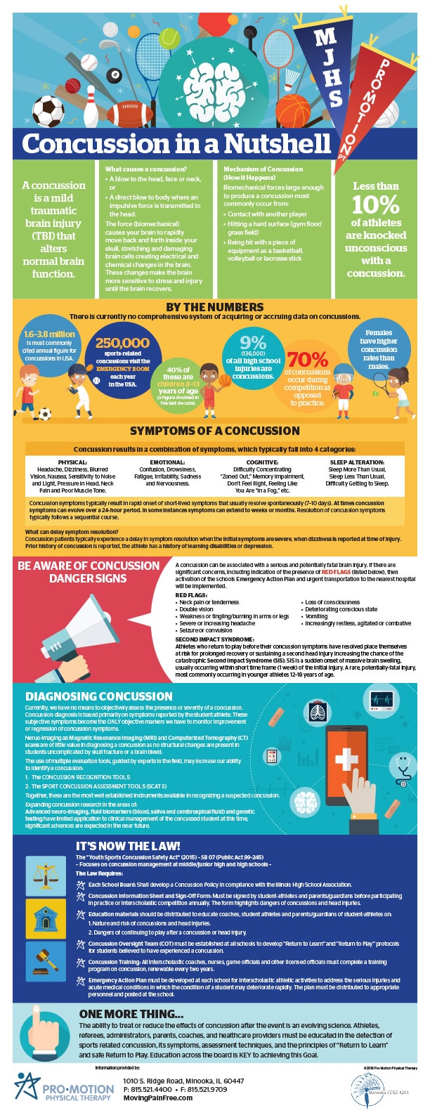 Concussion Infographic