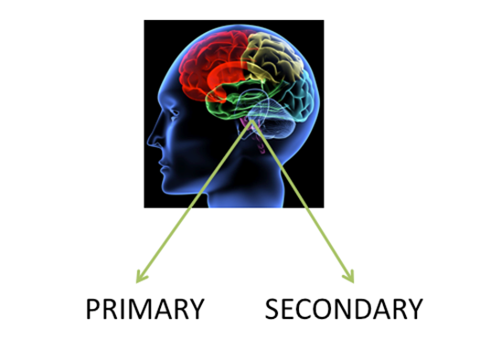 Headache disorder classification